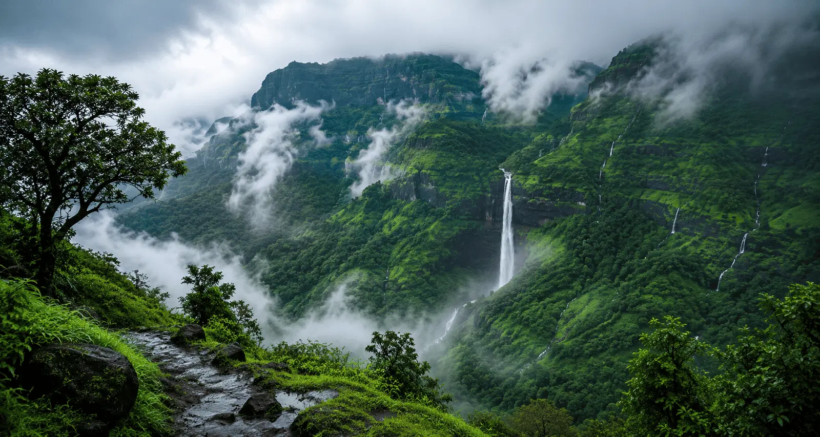 Aadrai Jungle Trek(Pune)